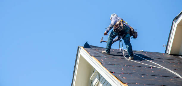 Best Flat Roof Repair Services  in Eldora, IA